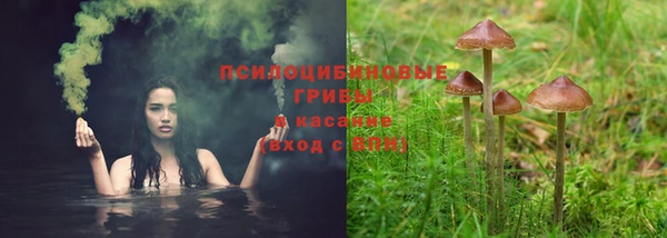 мяу мяу мука Балахна