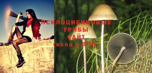 мяу мяу мука Балахна